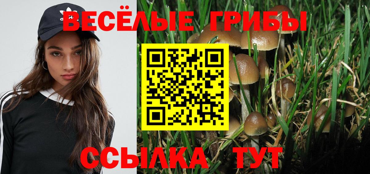 Кумертау  Галлюциногенные грибы Psilocybe  Галлюциногенные грибы Psilocybe  Вход с VPN 