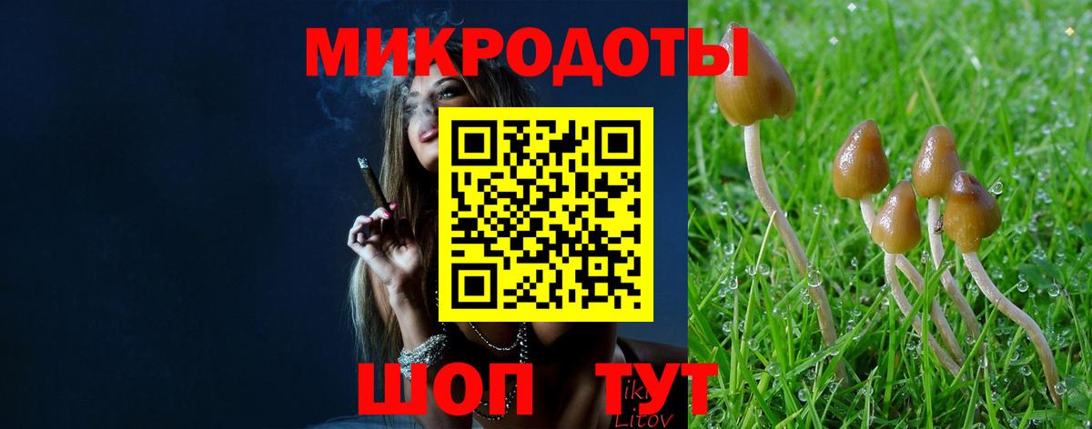 Псилоцибиновые грибы мухоморы Кумертау